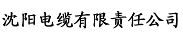 热久久香蕉视频电缆厂logo